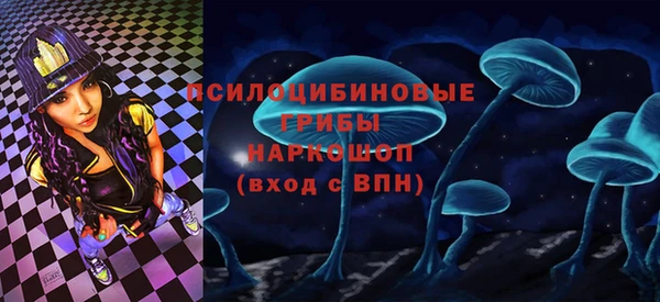 ГАЛЛЮЦИНОГЕННЫЕ ГРИБЫ Алексеевка
