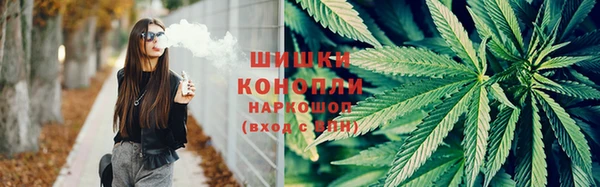 гидропоника Алзамай