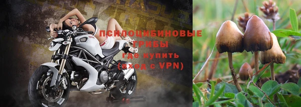 ГАЛЛЮЦИНОГЕННЫЕ ГРИБЫ Алексеевка